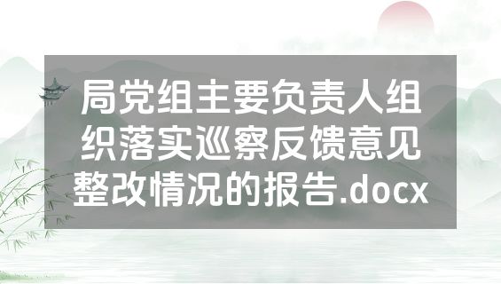 局党组主要负责人组织落实巡察反馈意见整改情况的报告.docx