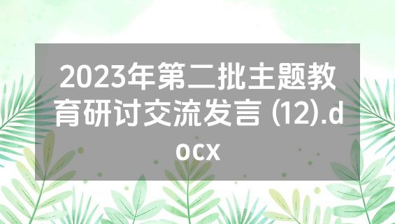 2023年第二批主题教育研讨交流发言 (12).docx