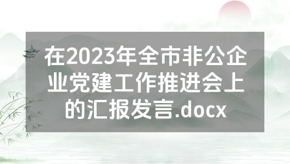 在2023年全市非公企业党建工作推进会上的汇报发言.docx