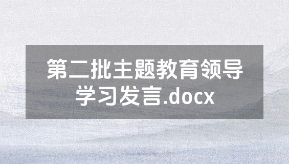 第二批主题教育领导学习发言.docx