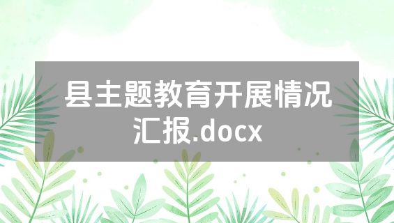 县主题教育开展情况汇报.docx
