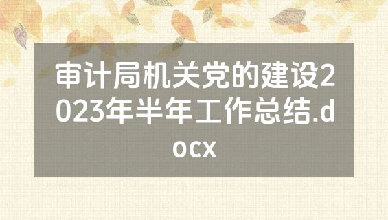 审计局机关党的建设2023年半年工作总结.docx