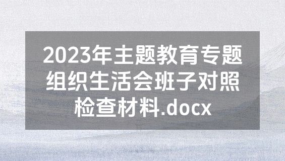 2023年主题教育专题组织生活会班子对照检查材料.docx