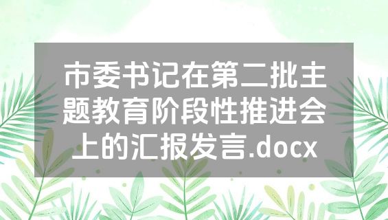 市委书记在第二批主题教育阶段性推进会上的汇报发言.docx