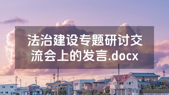 法治建设专题研讨交流会上的发言.docx