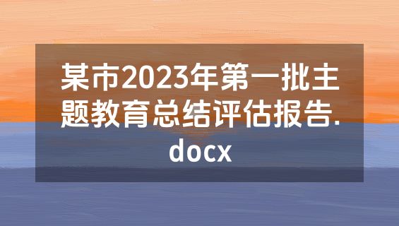 某市2023年第一批主题教育总结评估报告.docx