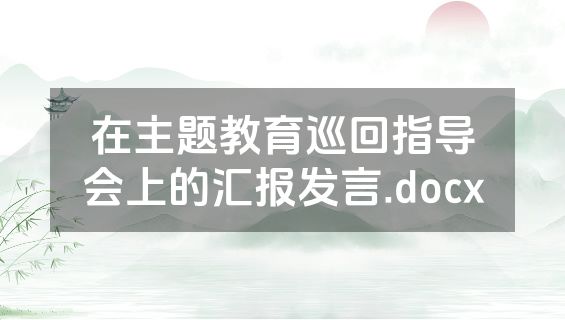 在主题教育巡回指导会上的汇报发言.docx