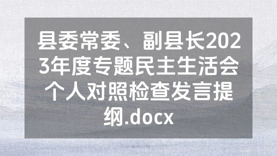 县委常委、副县长2023年度专题民主生活会个人对照检查发言提纲.docx