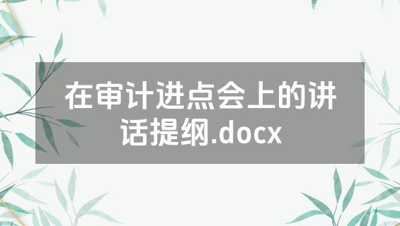 在审计进点会上的讲话提纲.docx