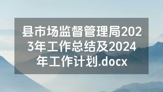 县市场监督管理局2023年工作总结及2024年工作计划.docx