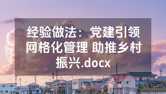 经验做法：党建引领网格化管理 助推乡村振兴.docx