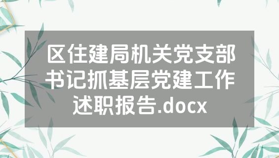区住建局机关党支部书记抓基层党建工作述职报告.docx