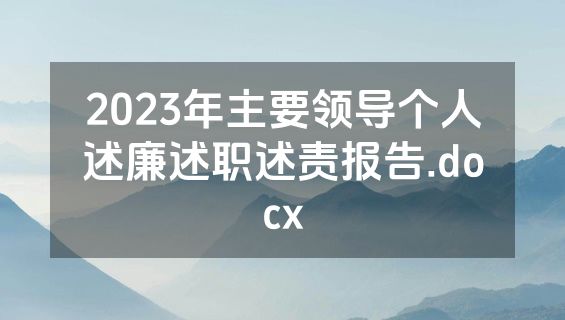 2023年主要领导个人述廉述职述责报告.docx