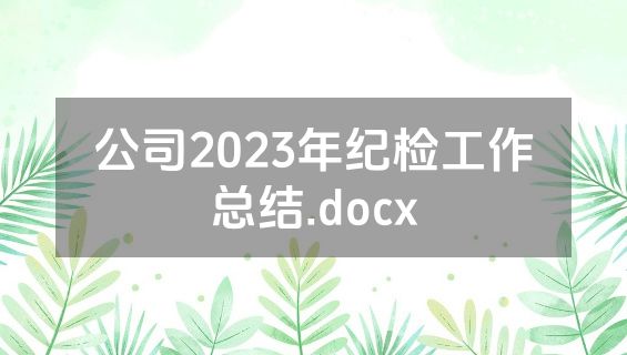 公司2023年纪检工作总结.docx