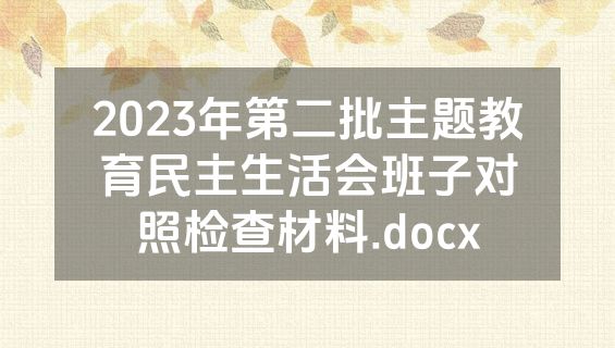 2023年第二批主题教育民主生活会班子对照检查材料.docx