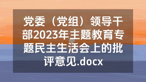 党委（党组）领导干部2023年主题教育专题民主生活会上的批评意见.docx