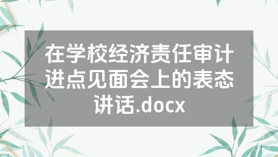 在学校经济责任审计进点见面会上的表态讲话.docx