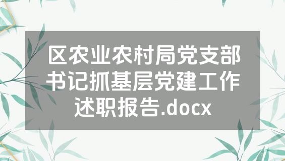 区农业农村局党支部书记抓基层党建工作述职报告.docx