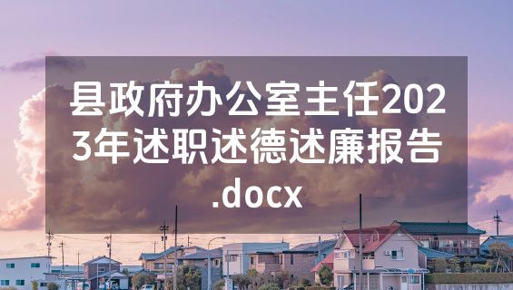 县政府办公室主任2023年述职述德述廉报告.docx