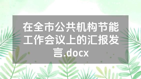 在全市公共机构节能工作会议上的汇报发言.docx