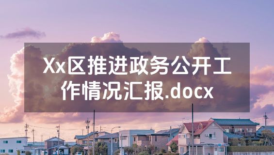 Xx区推进政务公开工作情况汇报.docx