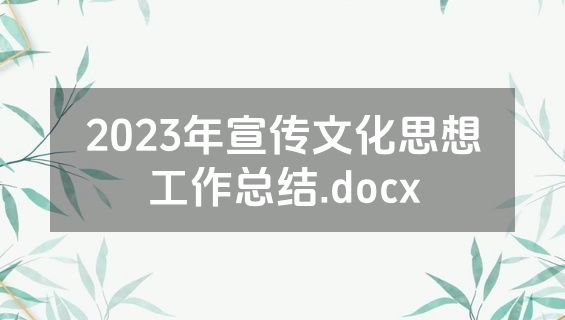 2023年宣传文化思想工作总结.docx