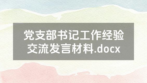 党支部书记工作经验交流发言材料.docx