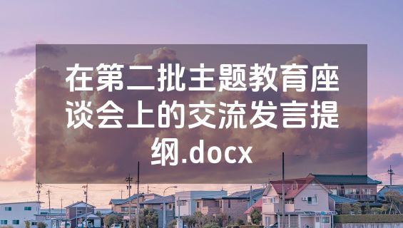 在第二批主题教育座谈会上的交流发言提纲.docx