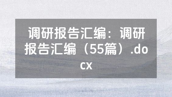 调研报告汇编：调研报告汇编（55篇）.docx
