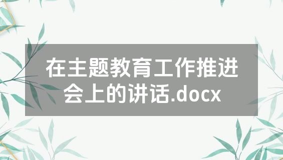 在主题教育工作推进会上的讲话.docx