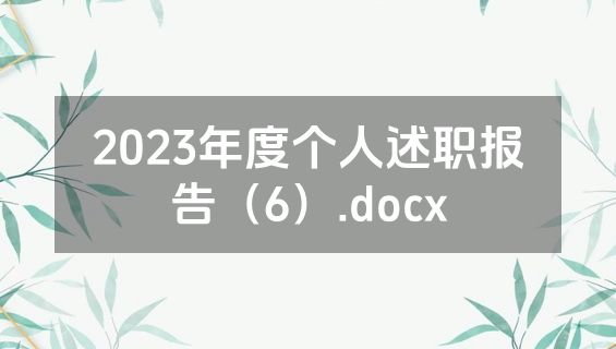 2023年度个人述职报告（6）.docx