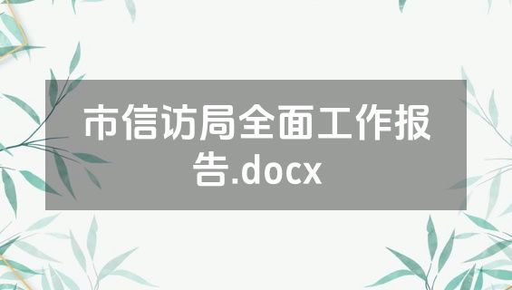 市信访局全面工作报告.docx