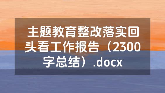 主题教育整改落实回头看工作报告（2300字总结）.docx