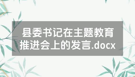 县委书记在主题教育推进会上的发言.docx