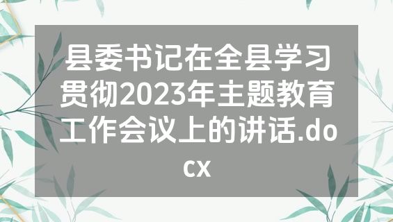 县委书记在全县学习贯彻2023年主题教育工作会议上的讲话.docx