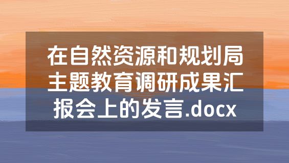 在自然资源和规划局主题教育调研成果汇报会上的发言.docx