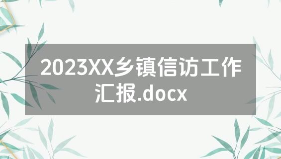 2023XX乡镇信访工作汇报.docx