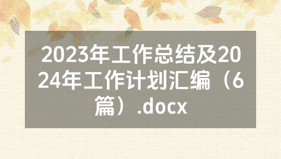 2023年工作总结及2024年工作计划汇编（6篇）.docx