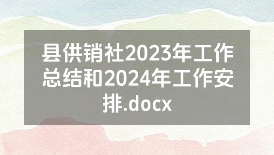 县供销社2023年工作总结和2024年工作安排.docx