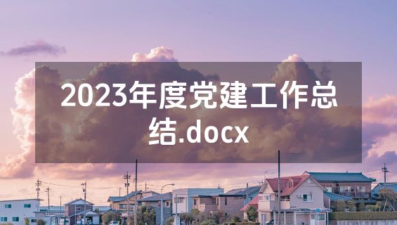 2023年度党建工作总结.docx