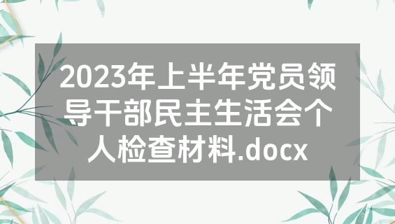 2023年上半年党员领导干部民主生活会个人检查材料.docx