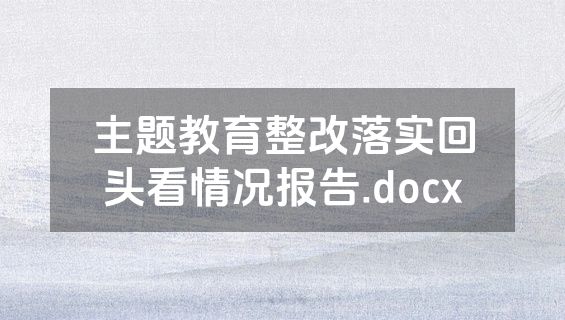 主题教育整改落实回头看情况报告.docx