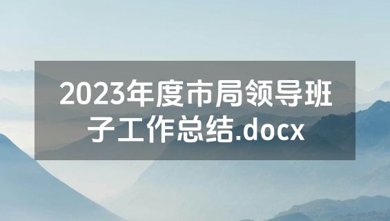 2023年度市局领导班子工作总结.docx