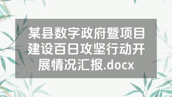 某县数字政府暨项目建设百日攻坚行动开展情况汇报.docx