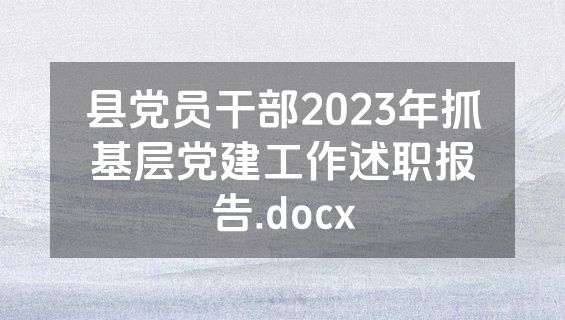 县党员干部2023年抓基层党建工作述职报告.docx