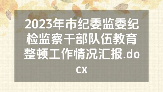 2023年市纪委监委纪检监察干部队伍教育整顿工作情况汇报.docx