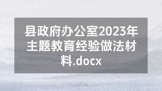 县政府办公室2023年主题教育经验做法材料.docx