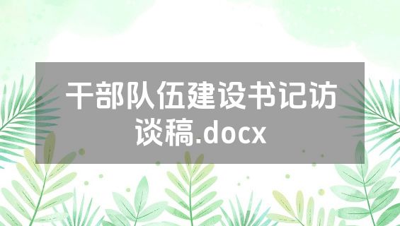 干部队伍建设书记访谈稿.docx