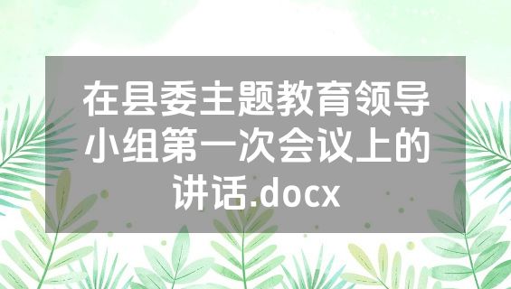 在县委主题教育领导小组第一次会议上的讲话.docx
