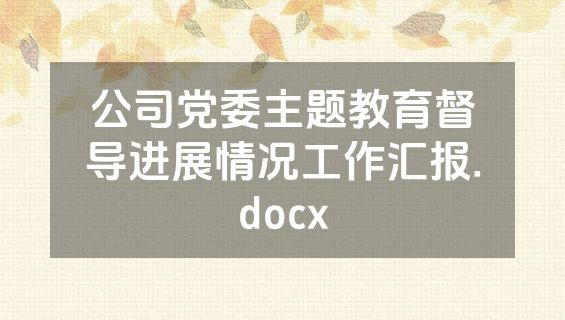 公司党委主题教育督导进展情况工作汇报.docx
